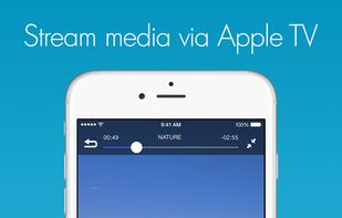 Remote Media Manager screenshot 1