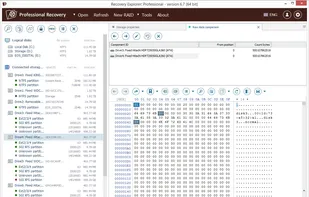 Recovery Explorer Professional screenshot 1