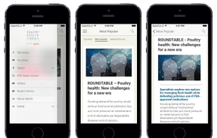 Median.co screenshot 2