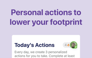 LiveGreen screenshot 1