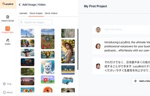 Adding image / video assets