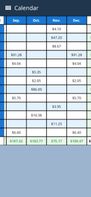 The dividend calender depicts your dividend payments in a table view.