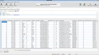 Query results