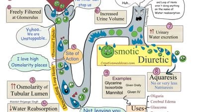 Creative Med Doses: Reviews, Features, Pricing & Download | AlternativeTo