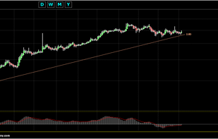 Chart Geany screenshot 1