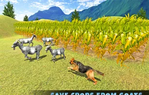 Real Shepherd Dog Simulator screenshot 1