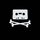 101torrent.net icon