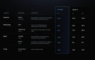 Google Gemma screenshot 1