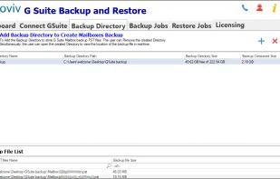 Shoviv G Suite Backup and Restore tool  screenshot 2