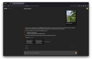 chat with an image, see references
