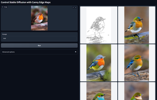 ControlNet screenshot 1