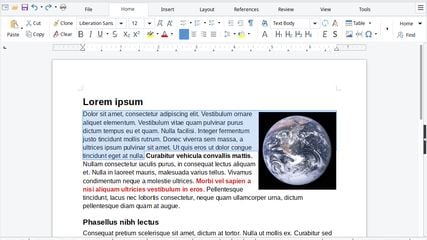 LibreOffice Writer on Linux