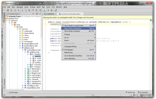 JetBrains MPS screenshot 3