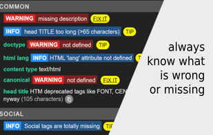 META SEO Inspector screenshot 1