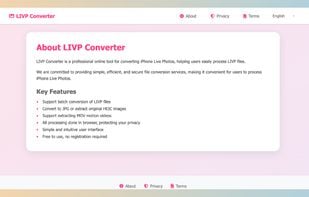 LIVP Converter screenshot 2
