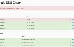 DNS Check screenshot 1