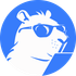Capitara icon