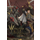 Warbringers Of Angrul icon