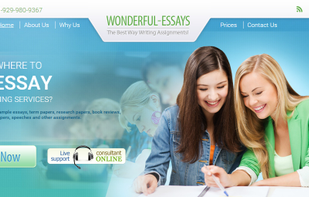 Wonderful-Essays.com screenshot 1