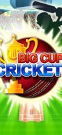 Big Cup Cricket screenshot 1