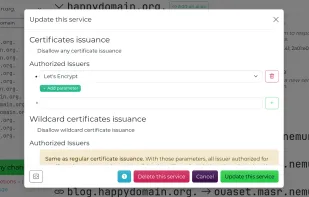 The form to edit CAA records: each service is deeply explained, you are guided at each step.