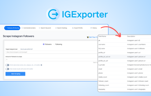 Export Instagram Follower to CSV