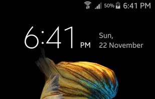 Betta Fish 3D screenshot 1