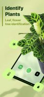 Leaf Identification screenshot 1