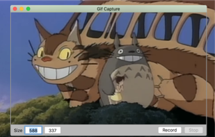 GifCapture screenshot 1