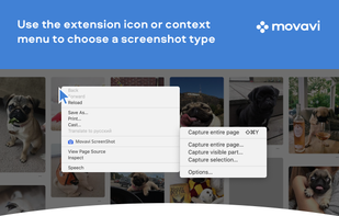 Movavi Screenshot screenshot 1