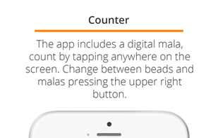 Record the exact number of your prostrations or mantra recitations.