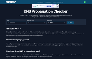 DNSNEST.net screenshot 1