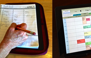 Rendezvous Appointment Book screenshot 2