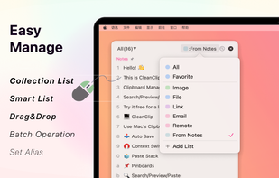 CleanClip screenshot 1