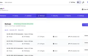 WP Umbrella's backup
