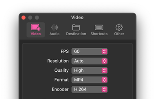 Azayaka's settings, video tab selected