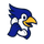 CallBird icon