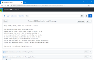 VisualSVN Server screenshot 2