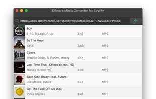 DRmare Spotify Music Converter screenshot 3