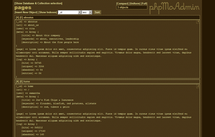 PhpMoAdmin screenshot 1