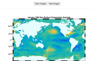 VidMyFigs screenshot 1