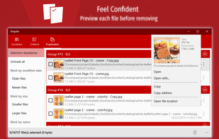 Singuler: Duplicate Removal Tool screenshot 1