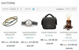 Magestore Magento Auction screenshot 1