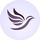 Ascendara icon