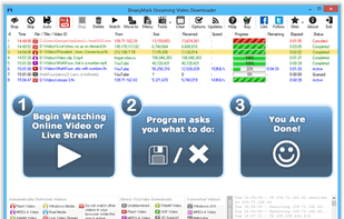 Streaming Video Downloader screenshot 1