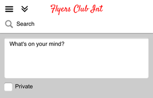 The Flyers Club screenshot 1