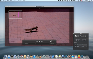 Mode for rotating, flipping and cropping the video
