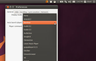 OSD Lyrics screenshot 2
