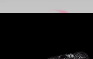 Smoke Effect Photo Maker
