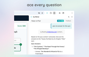 surfmind screenshot 3